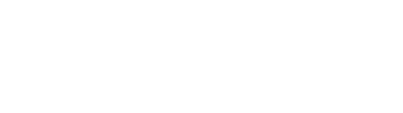 Mark-McDuffie-Insurance-Agency-Inc-Logo-800-White